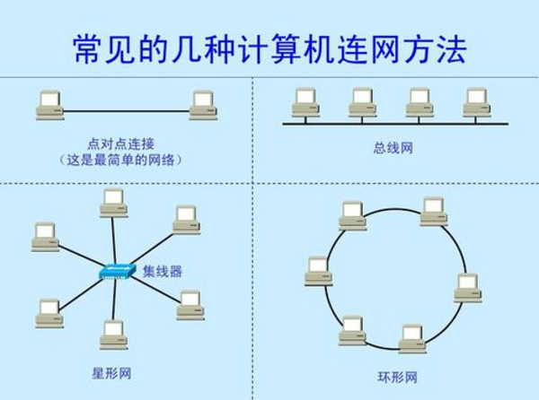 计算机局域网系统